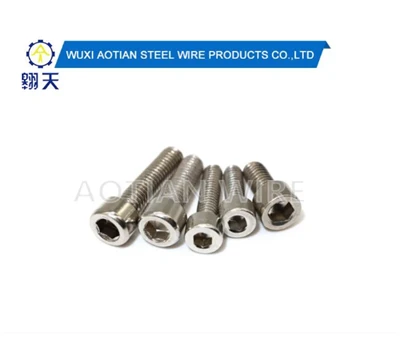 Egzagòn Socket Head Cap Screw.